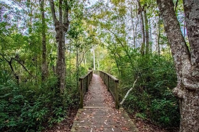 129 Leap Year Lane, Freeport, FL 32439