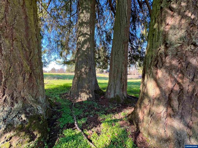 40544 McDowell Creek Dr, Lebanon, OR 97355