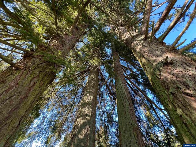 40544 McDowell Creek Dr, Lebanon, OR 97355