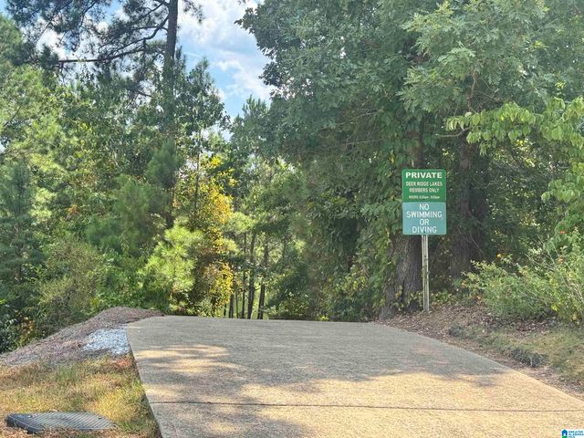 140 DEER CHASE DRIVE, Chelsea, AL 35043