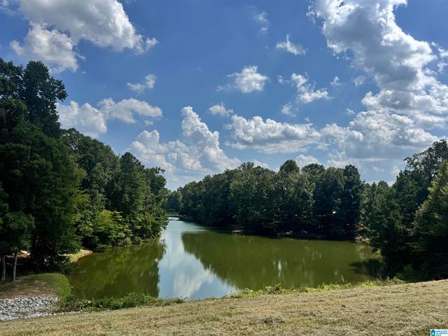 140 DEER CHASE DRIVE, Chelsea, AL 35043