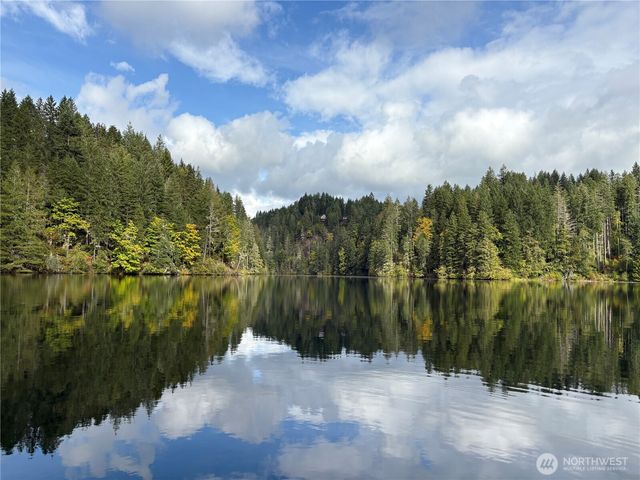 140 N Dow Creek Drive, Hoodsport, WA 98548