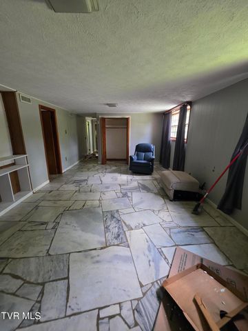 829 Julip Drive, Kingsport, TN 37663