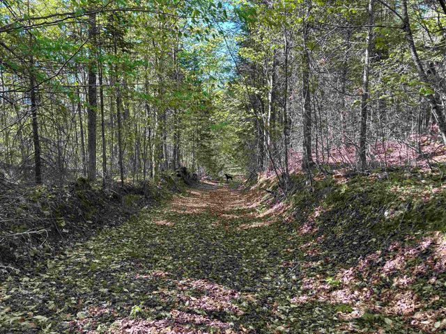 2354 East Ridge Road, Sutton, VT 05871
