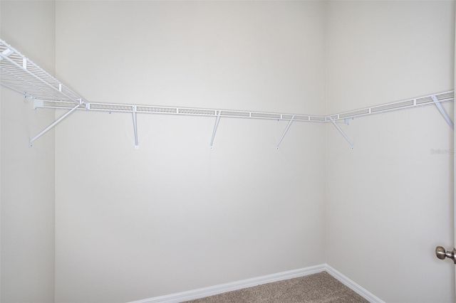 31702 OYSTER TRELLIS LANE, Wesley Chapel, FL 33545