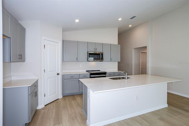 31702 OYSTER TRELLIS LANE, Wesley Chapel, FL 33545