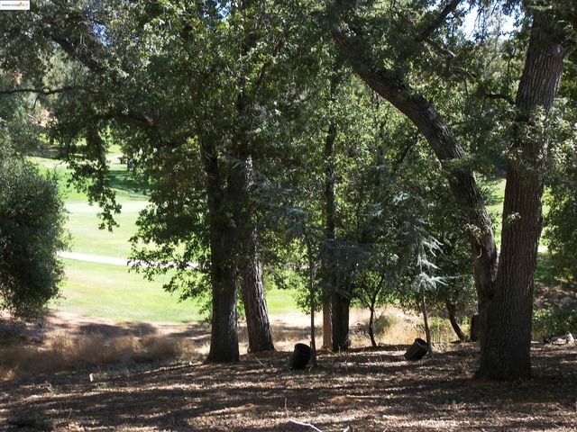 19195 Ferretti Rd., Groveland, CA 95321