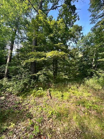 21107 Night Hawk Lane, Brainerd, MN 56401