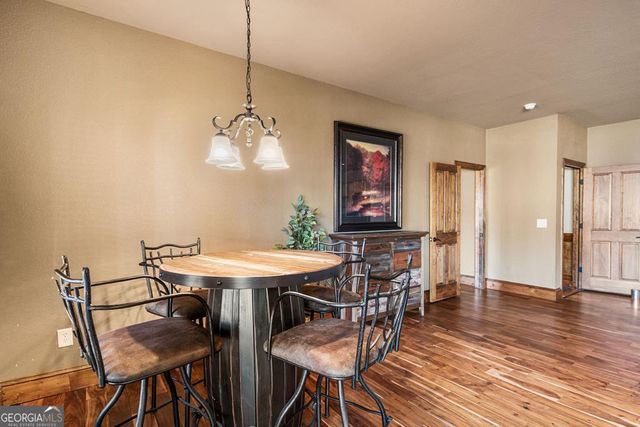 577 Beech Cove Drive, Hiawassee, GA 30546