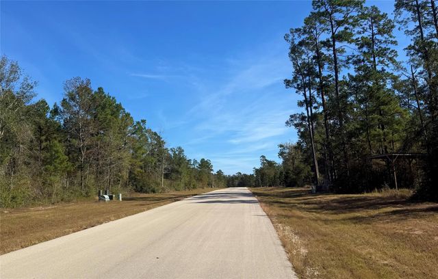 312 Iron Horse Road, New Waverly, TX 77358