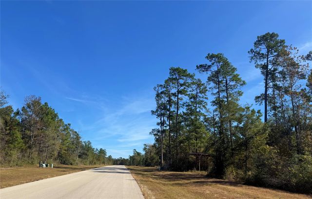 312 Iron Horse Road, New Waverly, TX 77358