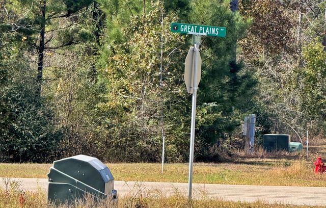 312 Iron Horse Road, New Waverly, TX 77358