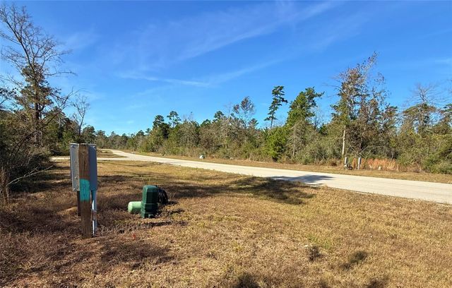 312 Iron Horse Road, New Waverly, TX 77358