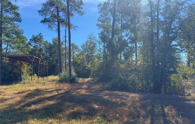 312 Iron Horse Road, New Waverly, TX 77358