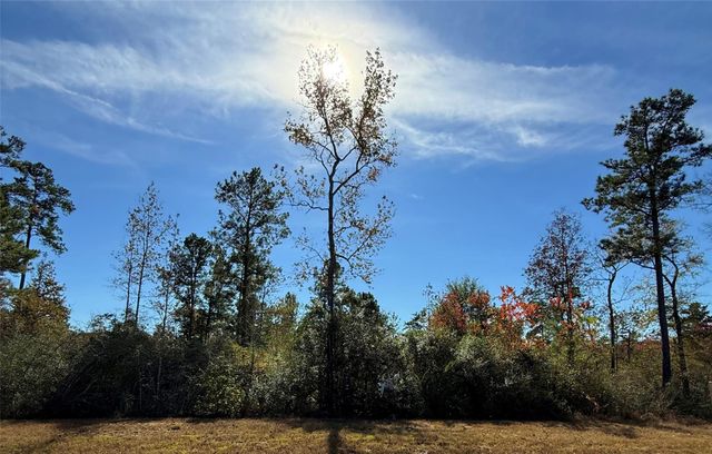 312 Iron Horse Road, New Waverly, TX 77358