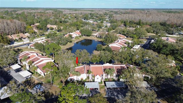 3505 TARPON WOODS BOULEVARD I-406, Palm Harbor, FL 34685