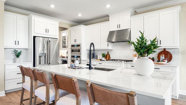 16216 WELLER COURT, Odessa, FL 33556