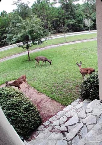 4356 Judges Bayou, Milton, FL 32583