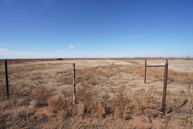 16207 N F M 179, Shallowater, TX 79363