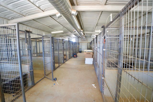 16207 N F M 179, Shallowater, TX 79363