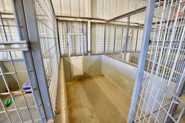 16207 N F M 179, Shallowater, TX 79363