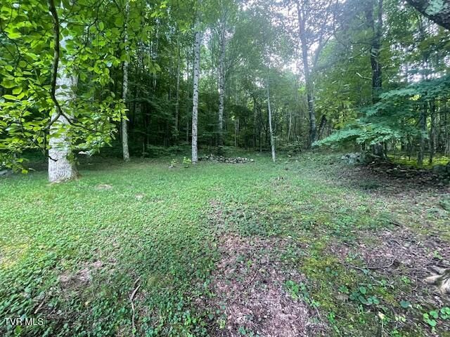 2169 Rice Creek Road, Flag Pond, TN 37657