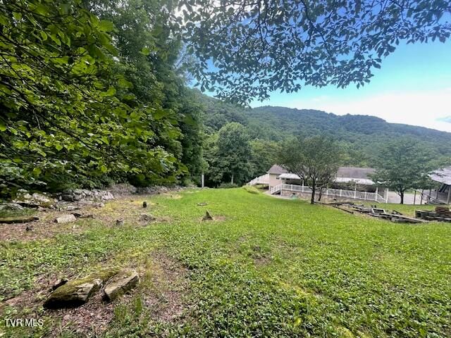 2169 Rice Creek Road, Flag Pond, TN 37657
