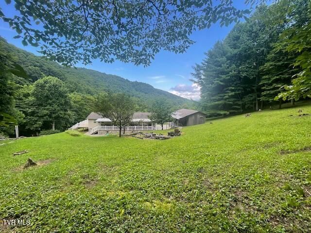 2169 Rice Creek Road, Flag Pond, TN 37657