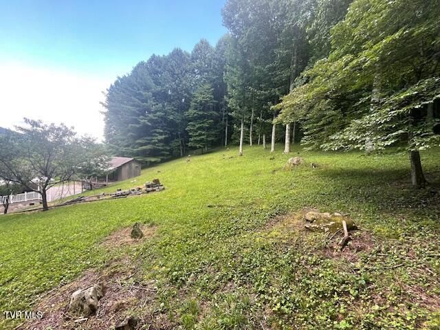 2169 Rice Creek Road, Flag Pond, TN 37657