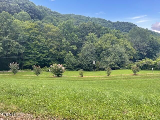 2169 Rice Creek Road, Flag Pond, TN 37657