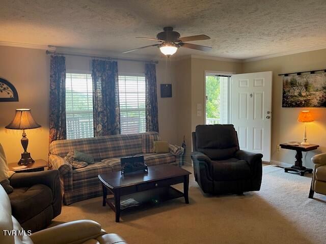 2169 Rice Creek Road, Flag Pond, TN 37657