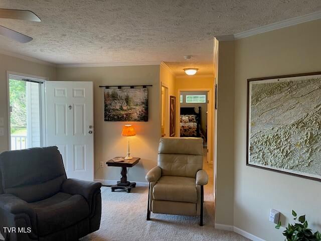 2169 Rice Creek Road, Flag Pond, TN 37657