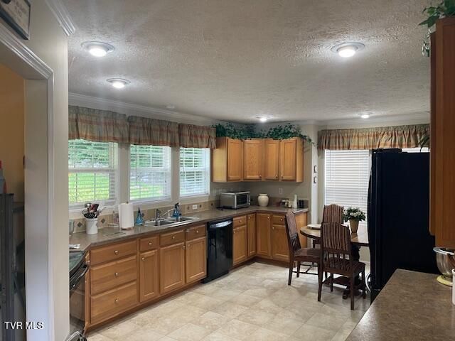 2169 Rice Creek Road, Flag Pond, TN 37657