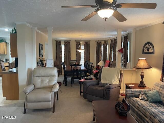 2169 Rice Creek Road, Flag Pond, TN 37657