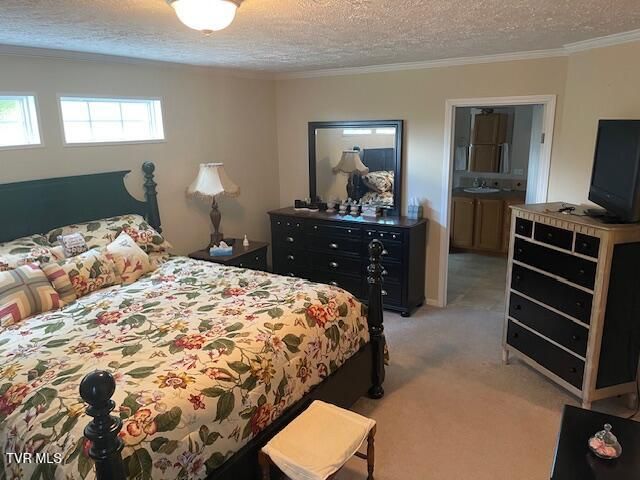 2169 Rice Creek Road, Flag Pond, TN 37657