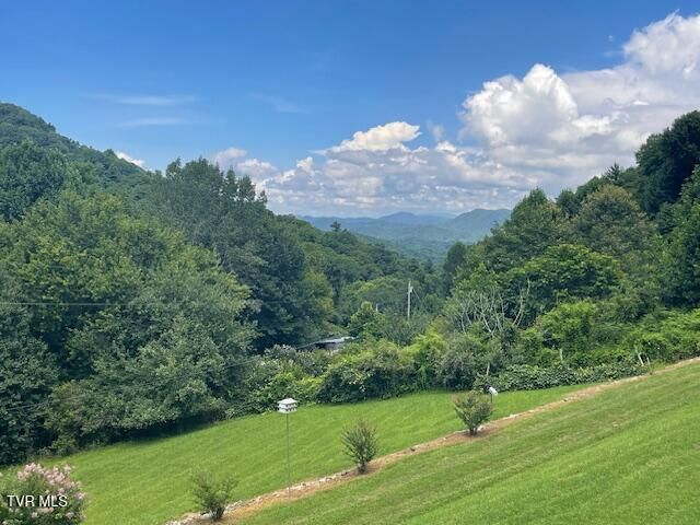 2169 Rice Creek Road, Flag Pond, TN 37657