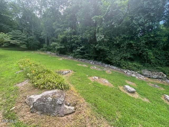 2169 Rice Creek Road, Flag Pond, TN 37657