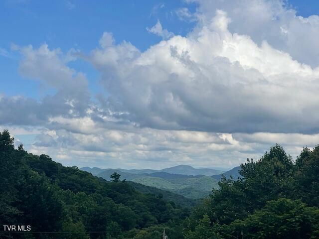 2169 Rice Creek Road, Flag Pond, TN 37657