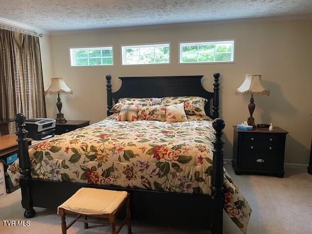 2169 Rice Creek Road, Flag Pond, TN 37657