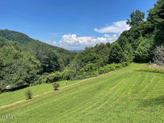 2169 Rice Creek Road, Flag Pond, TN 37657