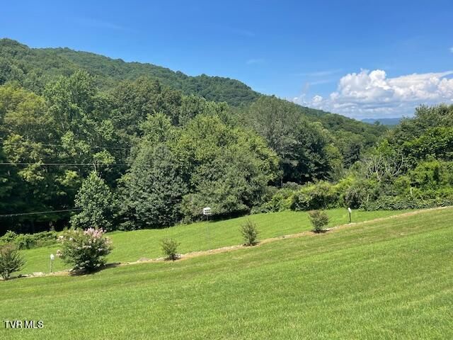 2169 Rice Creek Road, Flag Pond, TN 37657