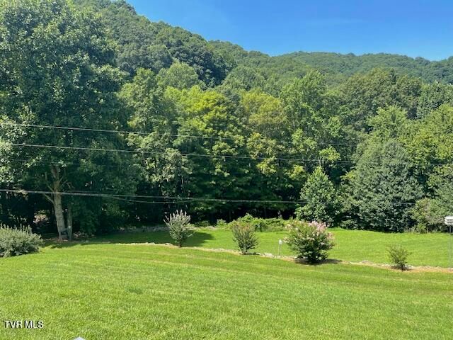 2169 Rice Creek Road, Flag Pond, TN 37657