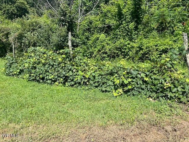 2169 Rice Creek Road, Flag Pond, TN 37657