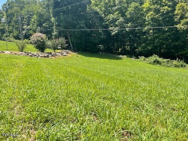 2169 Rice Creek Road, Flag Pond, TN 37657