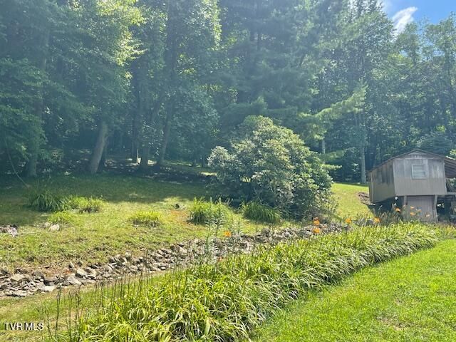 2169 Rice Creek Road, Flag Pond, TN 37657