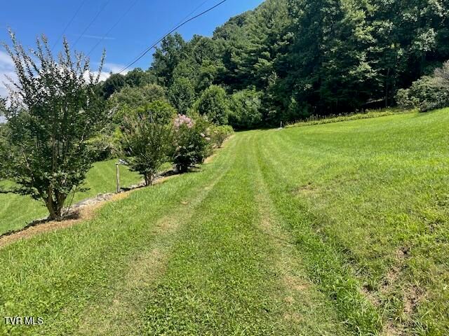 2169 Rice Creek Road, Flag Pond, TN 37657