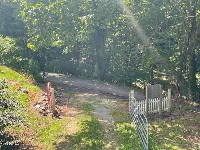 2169 Rice Creek Road, Flag Pond, TN 37657