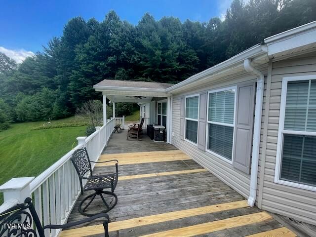 2169 Rice Creek Road, Flag Pond, TN 37657
