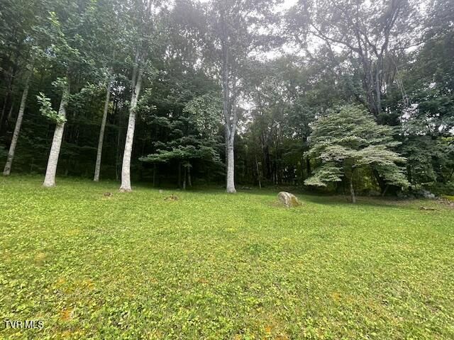 2169 Rice Creek Road, Flag Pond, TN 37657