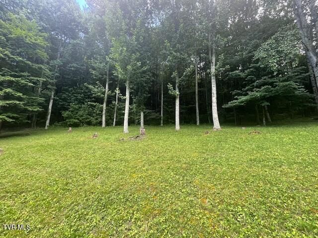 2169 Rice Creek Road, Flag Pond, TN 37657